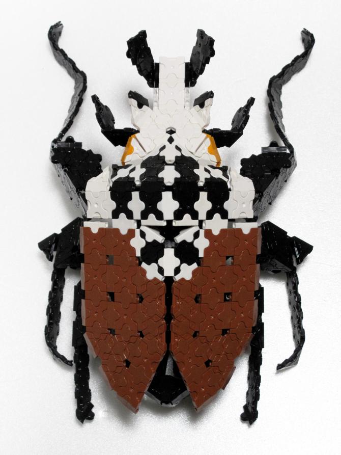 ゴライアスオオツノハナムグリ あつ森】ゴライアスオオツノ