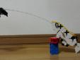 鉄砲魚の狩り