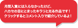 月間入賞には入らなかったけど、ハカセの目にとまったキラリと光る作品です！