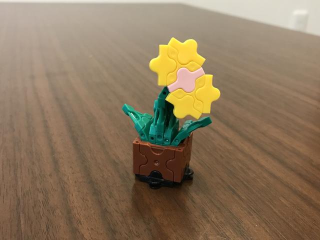 一輪の花が咲い