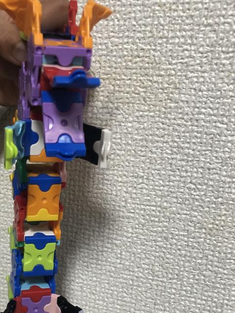 龍
