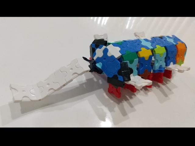 古生物シンダーハンネス